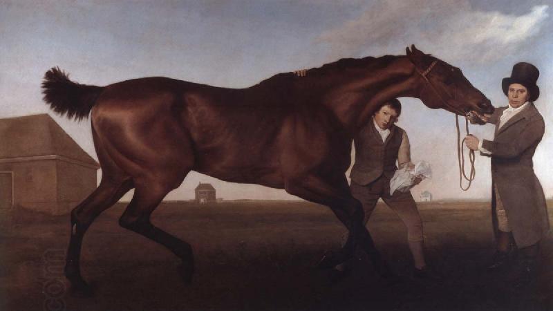 George Stubbs Hambletonian, Rubbing Down oil painting picture